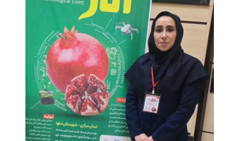 بررسی تاثیر سایبان بر کیفیت و کمیت میوه انار رقم ملس ساوه توسط عضو هیات علمی پژوهشکده مرکبات و میوه‌های نیمه‌گرمسیری