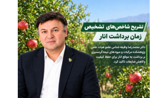 عضو هیات علمی پژوهشکده مرکبات و میوه‌های نیمه‌گرمسیری بر برداشت به‌ موقع انار برای حفظ کیفیت و کاهش ضایعات تاکید کرد