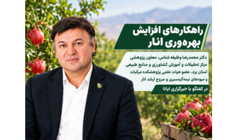عضو هیات علمی پژوهشکده مرکبات و میوه‌های نیمه‌گرمسیری در گفتگو با خبرگزاری ایانا بمناسبت روز ملی انار