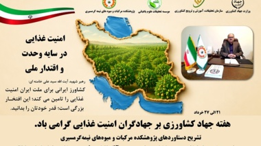 در گفتگوی با خبرگزاری ایانا، رئیس پژوهشکده مرکبات و میوه‌های نیمه‌گرمسیری به مناسبت هفته جهادکشاورزی فعالیت‌ها، دستاوردها و برنامه‌های پژوهشکده را تشریح کرد