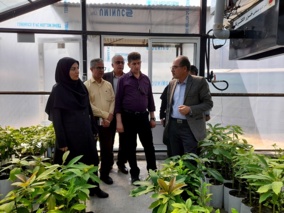 بازدید مدیرکل دفتر میوه‌ های گرمسیری و نیمه‌گرمسیری وزارت جهاد کشاورزی از پژوهشکده مرکبات و میوه‌های نیمه‌گرمسیری