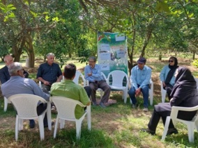 برگزاری کارگاه آموزشی با موضوع پرورش آووکادو با همکاری پژوهشکده مرکبات و میوه‌ های نیمه گرمسیری