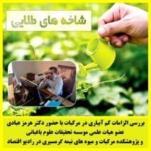 بررسی الزامات کم آبیاری در مرکبات با حضور عضو هیات علمی پژوهشکده مرکبات و میوه های نیمه گرمسیری در رادیو اقتصاد
