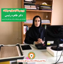 بررسی تغذیه بهاره مرکبات توسط عضو هیات علمی پژوهشکده مرکبات و میوه‌ های نیمه‌ گرمسیری