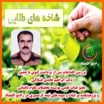 بررسی اقدامات پس از برداشت کیوی با حضور عضو هیات علمی پژوهشکده مرکبات و میوه های نیمه گرمسیری در رادیو اقتصاد