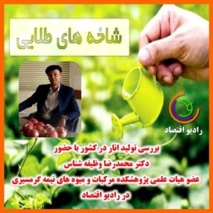 بررسی تولید انار در کشور با حضور عضو هیات علمی پژوهشکده مرکبات و میوه های نیمه گرمسیری در رادیو اقتصاد