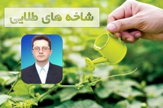 بررسی بیماری های شایع در باغات مرکبات کشور توسط عضو هیات علمی پژوهشکده مرکبات و میوه های نیمه گرمسیری در رادیو اقتصاد