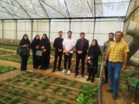 بازدید دانشجویان کارشناسی ارشد رشته علوم باغبانی دانشگاه اردکان از کلکسیون ذخائر توارثی انار کشور در یزد