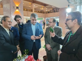 برپایی نمایشگاه دستاوردهای پژوهشکده مرکبات و میوه‌های نیمه‌گرمسیری در سومین گردهمایی اعضای هیات علمی و محققان موسسه تحقیقات علوم باغبانی
