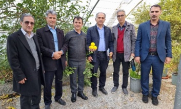 بازدید داوران ثبت رقم از پروژه معرفی رقم امیدبخش لیمو شیرین در پژوهشکده بیوتکنولوژی رشت