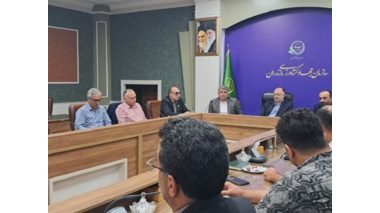بررسی فنی، قانونی و اجرایی فرآیند رنگ‌آوری مرکبات با حضور عضو هیات علمی پژوهشکده مرکبات و میوه‌های نیمه‌گرمسیری