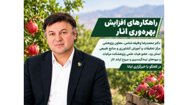 عضو هیات علمی پژوهشکده مرکبات و میوه‌های نیمه‌گرمسیری در گفتگو با خبرگزاری ایانا بمناسبت روز ملی انار